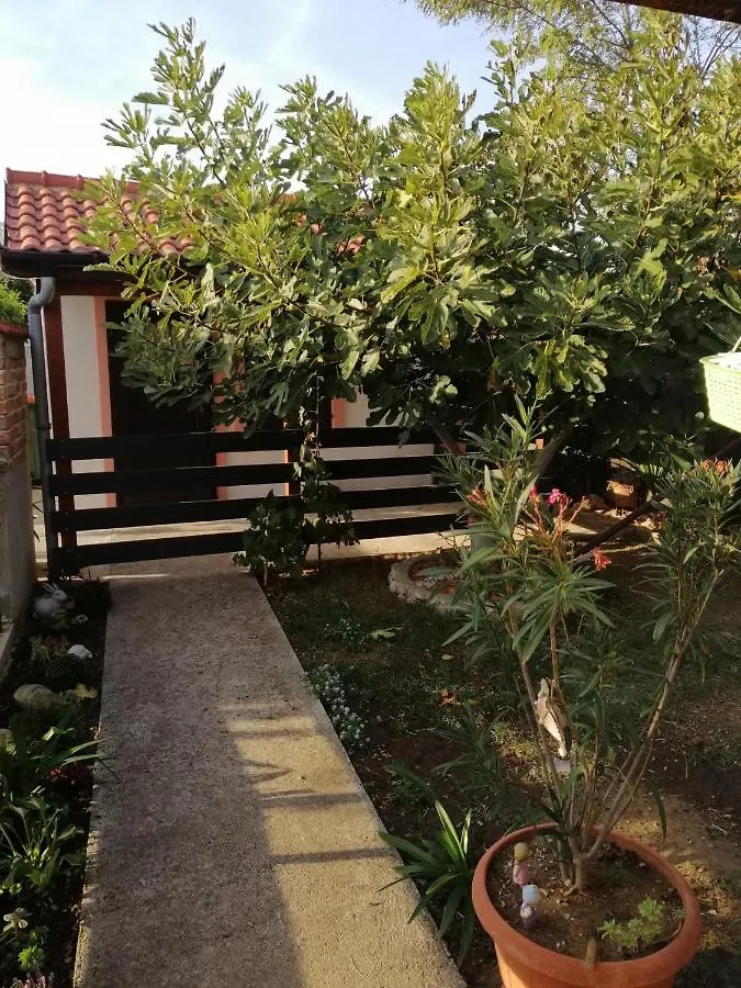 Holiday Apartment In Privlaka With Sea View, Terrace, Air Conditioning, Wifi 3591-3 Privlaka (Zadar)