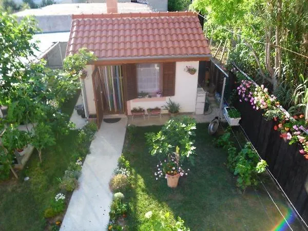 Holiday Apartment In Privlaka With Sea View, Terrace, Air Conditioning, Wifi 3591-3